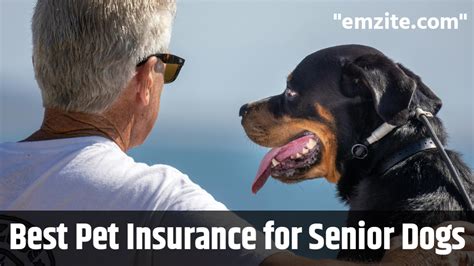 best dog insurance for older dogs